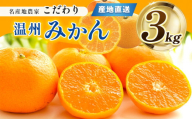 熊本県産 こだわりみかん 約3㎏ | 果物 くだもの フルーツ 柑橘 柑橘類 みかん ミカン 熊本県 玉名市