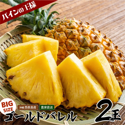 【2026年発送】ゴールドバレルビッグな２玉セット 1360378 - 沖縄県竹富町