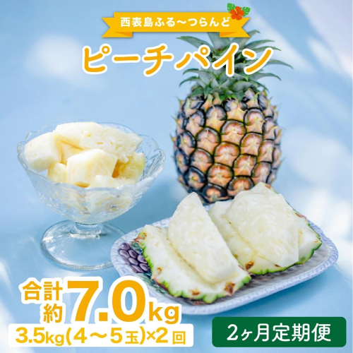定期便 2ヶ月 2026年 先行予約 ピーチパイン 約3.5kg(4〜5玉)×2回 ピーチパイン好きにおすすめ♪ ☆西表島ふる～つらんど☆ 果物 フルーツ 026-a013_2026 1360380 - 沖縄県竹富町
