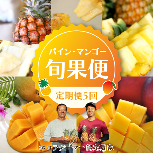 定期便 5回 2027年 先行予約 パイナップル マンゴー 旬果便 農園ファイミール 果物 フルーツ お楽しみ 1360386 - 沖縄県竹富町
