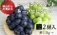 KF-B069【きよとう】岡山県産シャインマスカット＆ニューピオーネ食べ比べ　特大２房