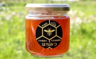 【2024採蜜分】富士山の玄関口　山梨県大月市産　フルーティーで奥深い甘さの日本蜜蜂のはちみつ　200g