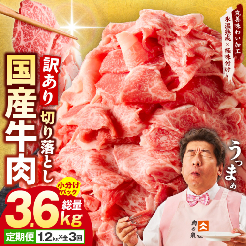 【定期便】国産 牛肉 切り落とし 1.2kg×全3回 総量 3.6kg【国産 牛肉 氷温熟成×極味付け 訳あり サイズ不揃い カレー 牛丼 野菜炒め 肉じゃが 家計応援 毎月配送コース】 099Z306 1360601 - 大阪府泉佐野市