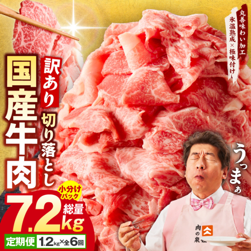 【定期便】国産 牛肉 切り落とし 定期便 1.2kg×全6回 総量 7.2kg【国産 牛肉 氷温熟成×極味付け 訳あり サイズ不揃い カレー 牛丼 野菜炒め 肉じゃが 家計応援 毎月配送コース】 099Z307 1360602 - 大阪府泉佐野市