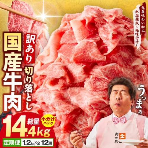 【定期便】国産 牛肉 切り落とし 定期便 1.2kg×全12回 総量 14.4kg【国産 牛肉 氷温熟成×極味付け 訳あり サイズ不揃い カレー 牛丼 野菜炒め 肉じゃが 家計応援 毎月配送コース】 099Z308 1360603 - 大阪府泉佐野市