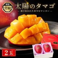 太陽のタマゴ 2玉 約1kg 完熟 マンゴー 濃厚 宮崎 高級 果物 フルーツ 贈答 ギフト 先行受付 送料無料（14-67）