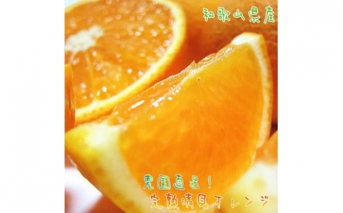 有田育ちの 完熟 清見 オレンジ (ご家庭用) 約10kg【先行予約・2025年2月～発送】【MS35】 1361036 - 和歌山県上富田町