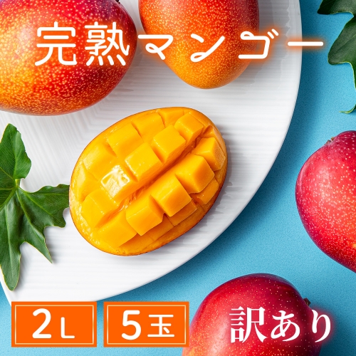 【訳あり】 完熟 マンゴー 2Lサイズ 5玉 先行受付 （14-27）