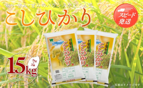 【最短2～7営業日出荷】令和7年産 千葉県産「コシヒカリ」15kg（5kg×3袋） お米 15kg 千葉県産 大網白里市 コシヒカリ 米 精米 こめ 送料無料 A049