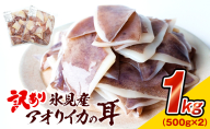 [訳あり] 氷見産 アオリイカの耳 1kg [冷凍]