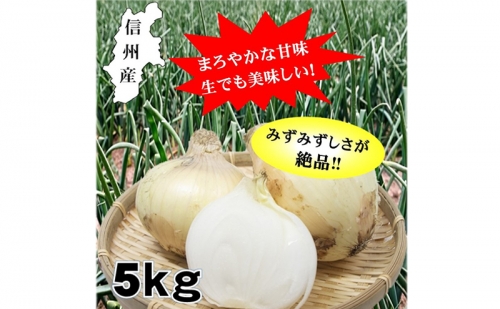 小諸産減農薬栽培・玉ねぎ約5kg 1362656 - 長野県小諸市