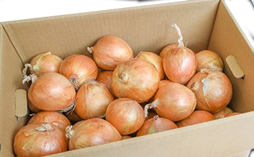 小諸産減農薬栽培・玉ねぎ約10kg 1362657 - 長野県小諸市