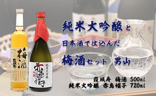 純米大吟醸と日本酒で仕込んだ梅酒セット 男山 FZ20-048 136268 - 山形県山形市