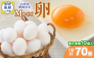 卵 たまご Mサイズ 1箱約70個（＋割れ保障10個入） 山形県 鶴岡市産 鶏卵 泉屋商店 K-621