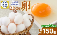 卵 たまご Mサイズ 1箱約150個（＋割れ保障10個入） 山形県 鶴岡市産 鶏卵 泉屋商店 K-642