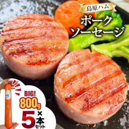 ●驚きの大きさ！特定原材料8品目不使用の特大サイズソーセージ 九州産の豚肉や国産の新鮮な玉ねぎを使用した800gの特大サイズソーセージです。 近年、食物アレルギーは増加傾向にあり、鶏卵は最も多く全体の