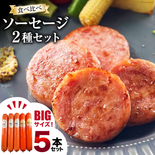 AI067 特大！ ソーセージ 2種5本 食べ比べ セット（島原ハムポークソーセージ800g×3本 島原工房ソーセージ770g×2本）[ ハム ソーセージ 肉 豚肉 おつまみ 国産 長崎県 島原市 ] 1362772 - 長崎県島原市