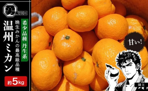 先行予約希少品種 丹生系 温州みかん 5kg  秀・優混合 サイズ混合 2026年2月中旬頃発送 1363030 - 和歌山県有田川町