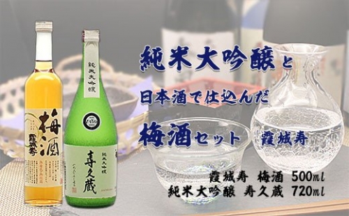 純米大吟醸と日本酒で仕込んだ梅酒セット 霞城寿 FZ20-050 136309 - 山形県山形市