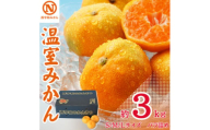 JAにしうわの季節の柑橘「温室みかん 約3kg(S・M・Lサイズバラ詰め)」＜F08-53＞【1514828】