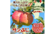 りんご サンふじ家庭用 10kg◆2025年1月上旬から2025年1月中旬にかけて順次発送◆【1515113】