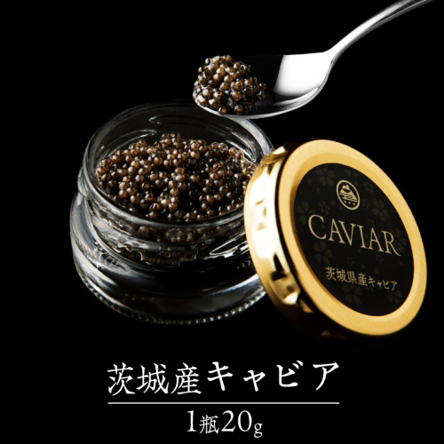 つくばスタージョン キャビア 20g×1  高級食材 記念日 誕生日 世界三大珍味 国産キャビア 茨城県産 茨城[AI005sa] 1363882 - 茨城県桜川市