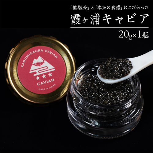 霞ヶ浦キャビア 20g×1  高級食材 記念日 誕生日 世界三大珍味 キャビア 国産キャビア 茨城県産 [AI014sa] 1363883 - 茨城県桜川市
