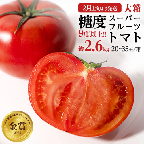 《 2026年収穫分 先行予約 》 糖度9度以上 スーパーフルーツトマト 大箱 約2.6kg × 1箱 (20～35玉/1箱) フルーツトマト ブランドトマト 野菜 ギフト 贈答 [BC001sa] 1363884 - 茨城県桜川市