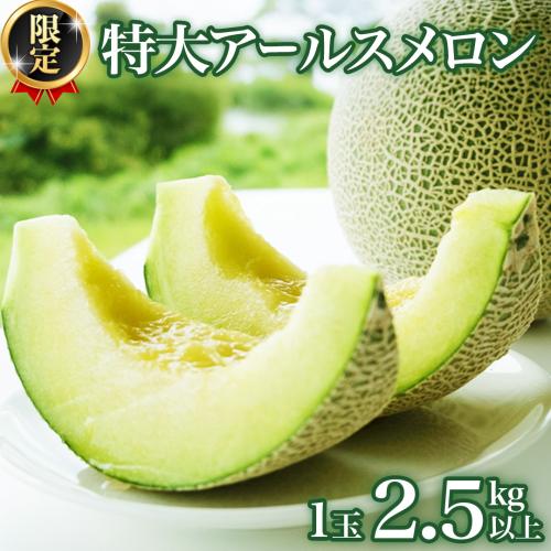 【2025年8月下旬発送開始】 季節 限定 ！ 甘さ満点 特大 アールスメロン 1個 箱 果物 フルーツ 農家直送 産直 青肉メロン 特産品 マスクメロン メロン くだもの 茨城 [BC005sa] 1363885 - 茨城県桜川市