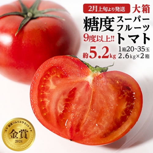 糖度9度以上 トマト 【 2025年収穫分 先行予約 】 スーパーフルーツトマト 大箱 約2.6kg × 2箱 （20～35玉/1箱）糖度9度以上 スーパーフルーツ トマト 2025年2月上旬発送開始 とまと 野菜 [BC009sa] 1363887 - 茨城県桜川市