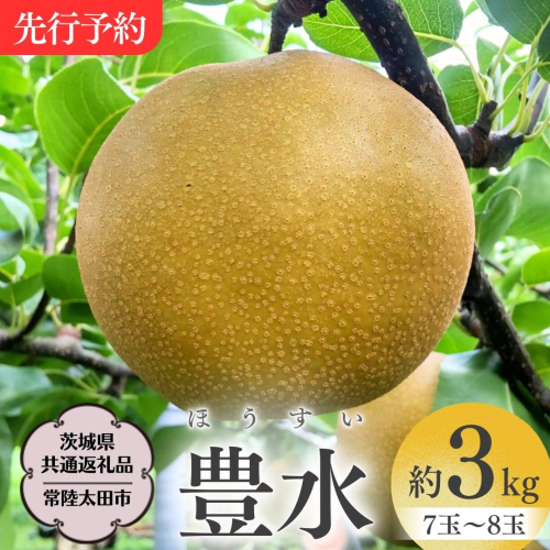 【 先行予約 】 茨城県産 梨 豊水 約3kg 7玉～8玉【茨城県共通返礼品／常陸太田市】 桧山果樹園 農家直送 桧山果樹園 農家直送 フルーツ  甘い 直送 茨城 限定 ギフト 梨 豊水 ほうすい 果物 [DU003sa] 1363891 - 茨城県桜川市