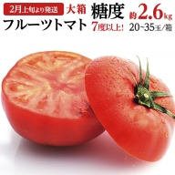 糖度7度以上 トマト 【 2025年収穫分 先行予約 】フルーツトマト 大箱 約2.6kg × 1箱  （20～35玉/1箱）糖度7度以上 トマト とまと 野菜 フルーツトマト トマト 2025年2月上旬発送開始 数量限定 とまと 野菜 [BC018sa]