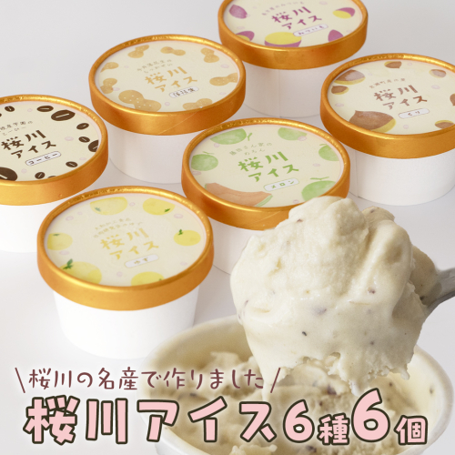【生産者支援】桜川アイス 6種 6個 セット  数量限定 食べ比べ 90ml×6種類 桜川市のこだわり素材を使用 アイス あいす デザート スイーツ 産地限定 おやつ カップ フレーバー メロン ゆず 蜜芋 コーヒー 栗 茨城県  [SC040sa] 1363901 - 茨城県桜川市