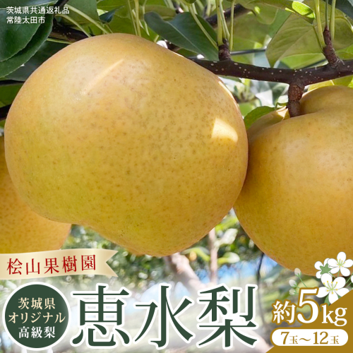 【2026年9月上旬発送開始】 茨城県 オリジナル 幻の 高級梨 『 恵水 』 約 5kg 7玉 ～ 12玉 【茨城県共通返礼品／常陸太田市】 桧山果樹園 農家直送 桧山果樹園 農家直送 フルーツ  甘い 直送 茨城 限定 ギフト 梨 恵水 けいすい 果物 [DU008sa] 1363902 - 茨城県桜川市
