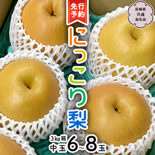 【 先行予約 】 にっこり梨 約3kg 箱 中玉 6玉～8玉 (茨城県共通返礼品 城里町) 2024年11月上旬から発送開始 フルーツ 甘い お正月 クリスマス 大玉 直送 茨城 限定[CO002sa] 1363915 - 茨城県桜川市