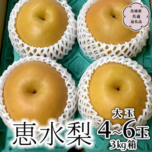 【先行予約】 恵水梨 3kg箱 大玉4～6玉 (茨城県共通返礼品 城里町) 2025年9月中旬から発送開始 梨 なし 和梨 フルーツ 甘い オリジナル 大玉 直送 茨城 限定 [CO004sa] 1363916 - 茨城県桜川市