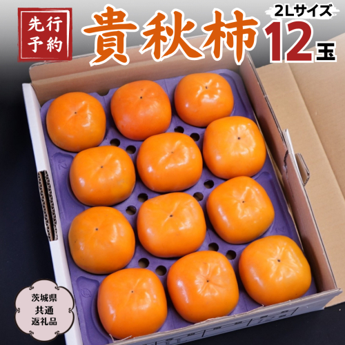 【 2024年 先行予約 】 貴秋柿 2L 12玉 (茨城県共通返礼品 石岡市) 2024年10月中旬発送開始 果物 くだもの フルーツ 柿 かき [DC006sa] 1363920 - 茨城県桜川市