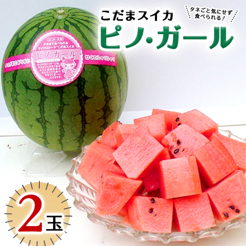 こだまスイカ ピノ・ガール（2玉） 【2026年5月中旬より発送開始】感動必至！ タネが気にならない スイカ 西瓜 小玉スイカ 小玉 果物 くだもの フルーツ 美味しい 茨城 [BC028sa] 1363928 - 茨城県桜川市