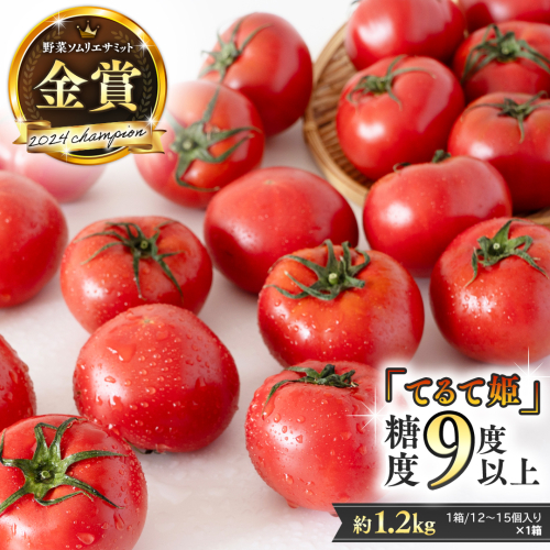 《 テレビで紹介 》 糖度9度以上 スーパーフルーツトマト てるて姫 中箱 約1.2kg × 1箱 【12〜15玉/1箱】 2026年収穫分 先行予約 フルーツトマト ブランドトマト 野菜 ギフト 贈答 青空レストラン アド街ック天国 グッドモーニング 黄金のワンスプーン[BC033sa] 1363932 - 茨城県桜川市