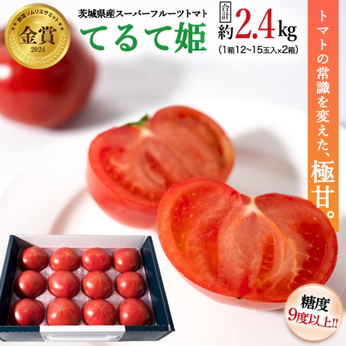 糖度9度以上 トマト 【 2025年収穫分 先行予約 】 スーパーフルーツトマト てるて姫 中箱 約1.2kg×2箱 【1215玉/1箱】 糖度9度以上 ブランドトマト 2025年2月上旬発送開始 フルーツトマト トマト とまと てるてひめ 桜川市 茨城県桜川市 [BC034sa] 1363935 - 茨城県桜川市