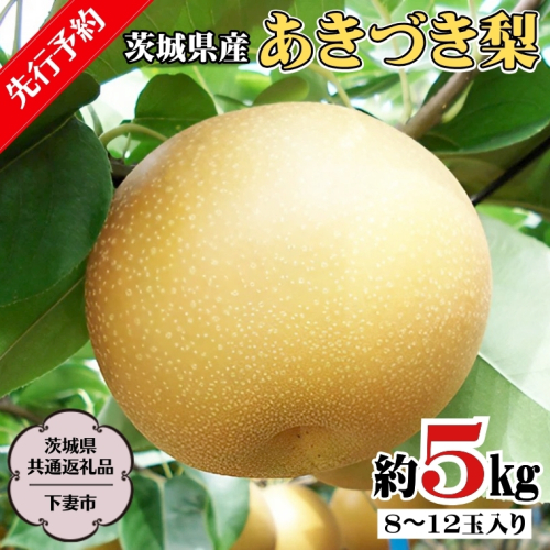 【 先行予約 】 茨城県産 あきづき 梨 5kg 8玉～12玉入り  (茨城県共通返礼品／下妻市）  ( 2024年8月上旬発送開始 )  梨 数量限定 なし ナシ フルーツ 果物 旬 産地直送 JA 常総ひかり  [DF003sa] 1363940 - 茨城県桜川市