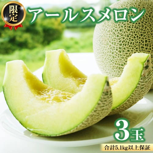 【2025年8月下旬発送開始】 季節 限定 ！ 甘さ満点 アールスメロン 3玉 入箱 果物 フルーツ 農家直送 産直 青肉メロン 特産品 マスクメロン メロン くだもの 茨城 [BC044sa] 1363941 - 茨城県桜川市