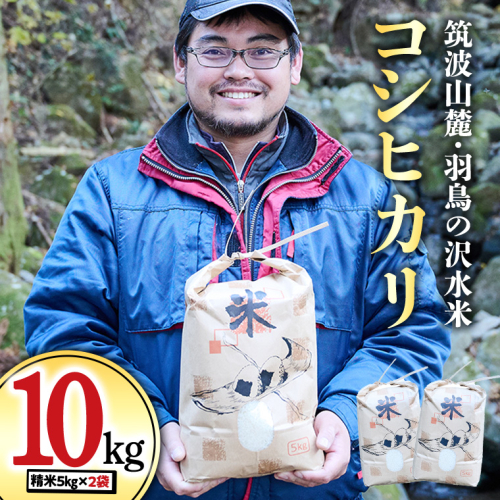 令和7年産 筑波山麓・羽鳥の沢水米 コシヒカリ 10kg 米 お米 コメ 精米 白米 桜川市 茨城県 [BN001sa]				 1363947 - 茨城県桜川市