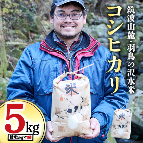 令和7年産 筑波山麓・羽鳥の沢水米 コシヒカリ 5kg 米 お米 コメ 精米 白米 桜川市 茨城県 [BN002sa] 1363955 - 茨城県桜川市