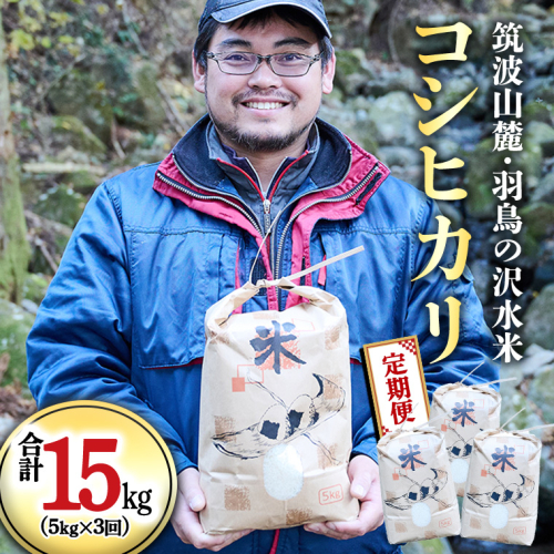 令和6年産 【3ヶ月定期便】 筑波山麓・羽鳥の沢水米 コシヒカリ 5kg × 3回 定期便 米 お米 コメ 精米 白米 桜川市 茨城県 [BN003sa] 1363961 - 茨城県桜川市