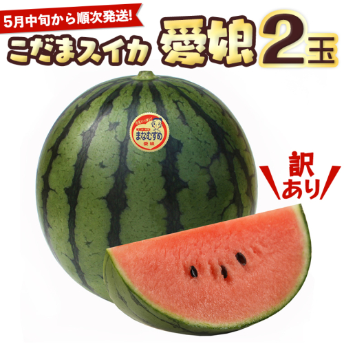 【訳あり】 際まで甘い こだまスイカ　愛娘（２玉）【2026年5月中旬より発送開始】スイカ 西瓜 旬 旬の果実 旬のフルーツ くだもの 果実 フルーツ 夏 小玉スイカ 小玉 果物 美味しい [BC061sa] 1364052 - 茨城県桜川市