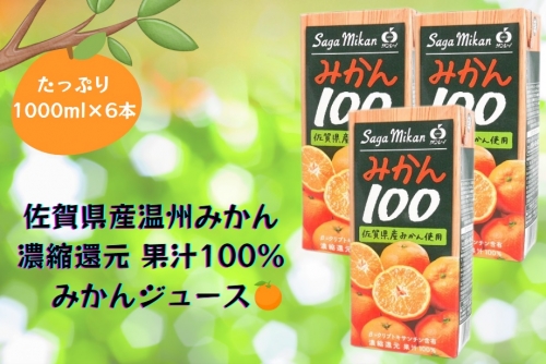 BJ014　【みかん100　6本】佐賀県産温州みかん みかんジュース 濃縮還元 国産 果汁100％ 1000ml 1L キャップ付き 1364162 - 佐賀県みやき町