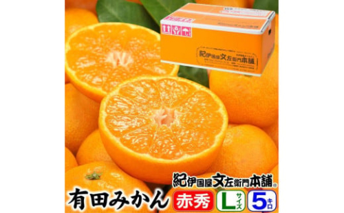 ブランド有田みかん【Ｌサイズ】秀品5kg／産地直送／薄皮で甘い美味しい和歌山県産／紀伊国屋文左衛門本舗 1364340 - 和歌山県有田川町