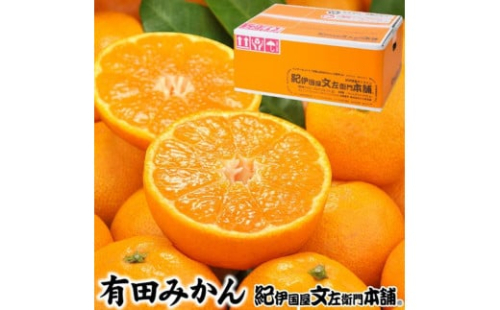 ブランド有田みかん【Ｌサイズ】秀品10kg／産地直送／薄皮で甘い美味しい和歌山県産／紀伊国屋文左衛門本舗 1364343 - 和歌山県有田川町