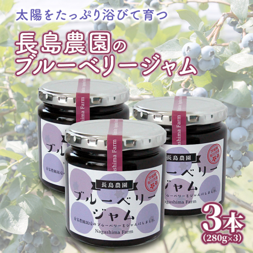 ブルーベリージャム 3本 ジャム ブルーベリー 国産 茨城県産 [AK006sa] 1364346 - 茨城県桜川市
